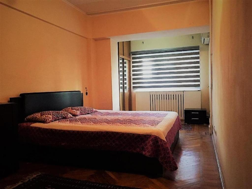 Spacious And Cozy Ташкент Екстериор снимка